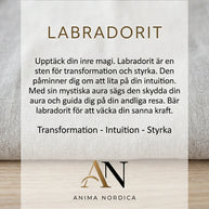 Halsband med labradorit i klöverform